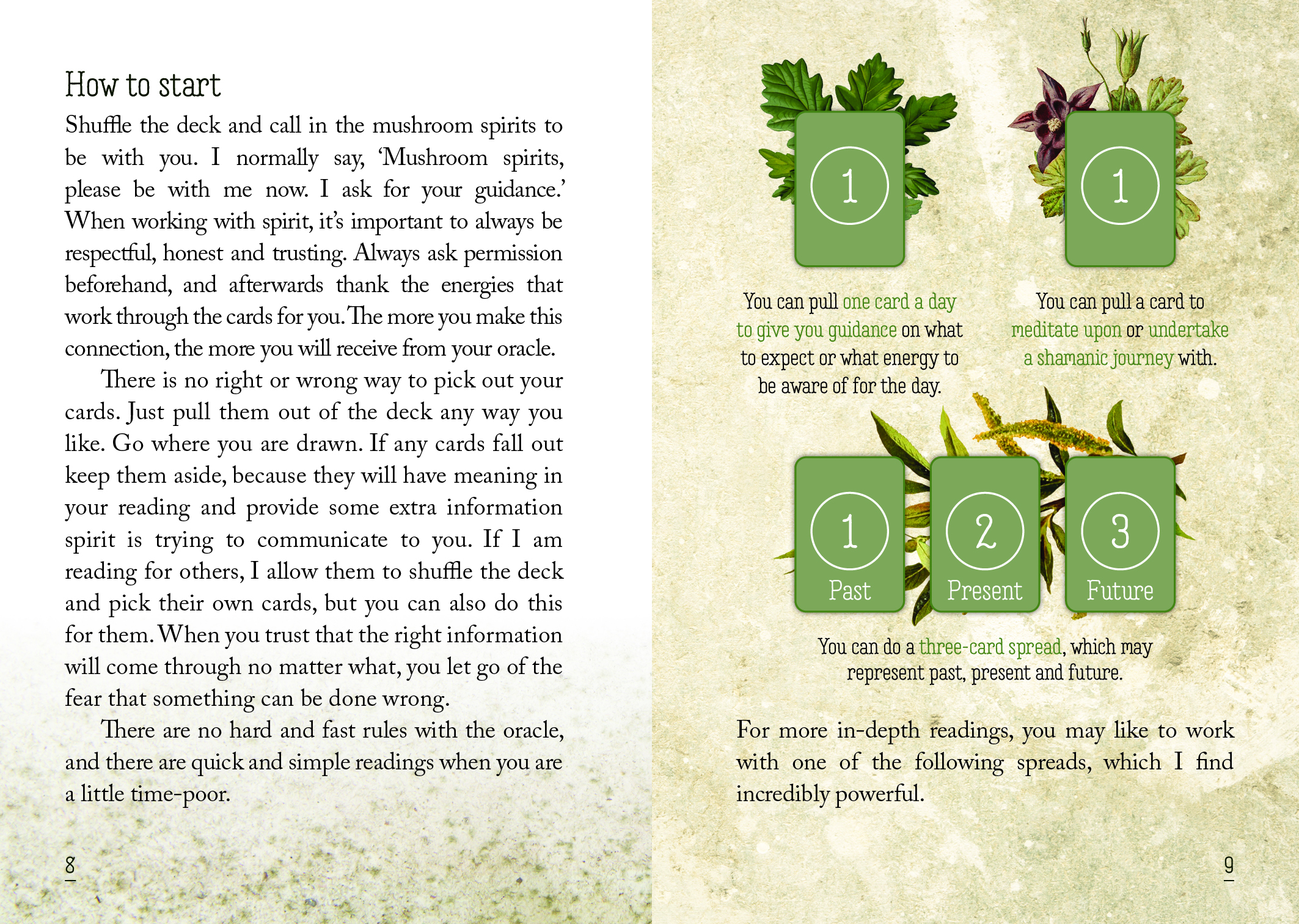Mushroom Spirit Oracle Cards